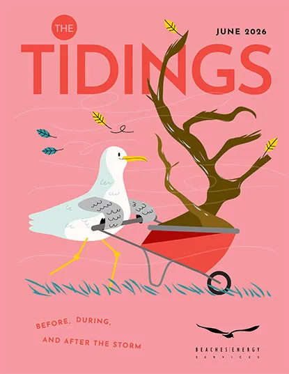 tidings june 2025